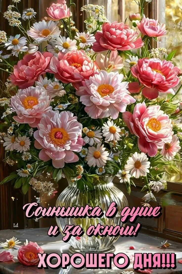 НОВЫЕ ОТКРЫТКИ 🎁