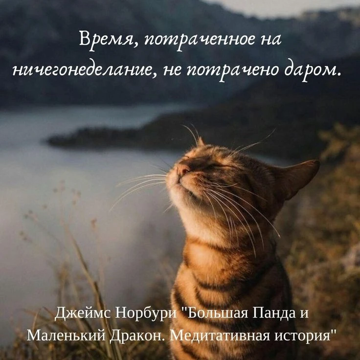Доброе утро!