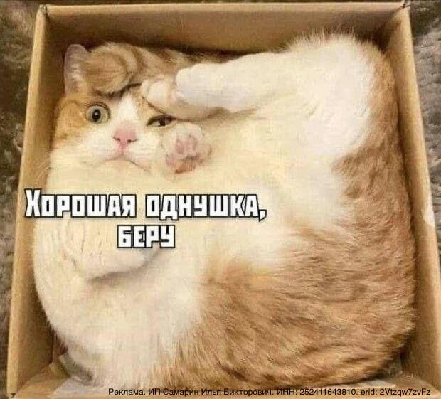 Девочки, делюсь находкой по нашей теме ❤️

Вы знаете мою любовь к недвижке, как к активу 💵 И в идеа