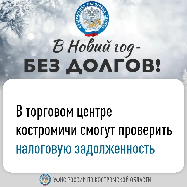 УФНС России по Костромской области проводит ежегодную информационную акцию «В Новый год - без долгов