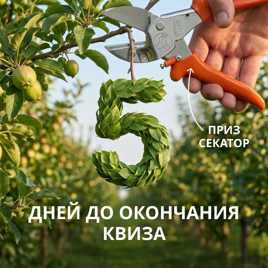 #квиз
#сады

⏰ ОСТАЛОСЬ НЕМНОГО ВРЕМЕНИ!

Пройдите квиз и участвуйте в розыгрыше СЕКАТОРОВ!
 
КАК ЭТ