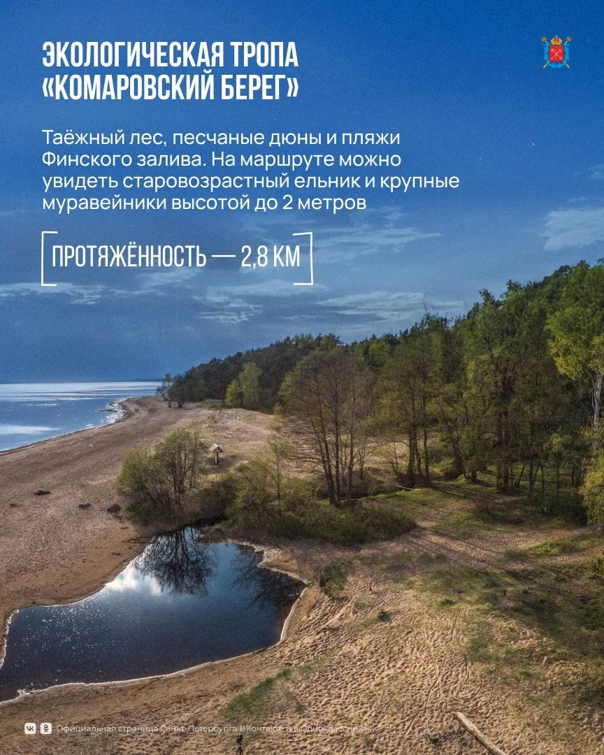 Экологические тропы Петербурга — отличный способ познакомиться с природой города и открыть для себя 
