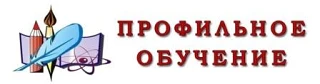 Профильное обучение в школе — это способ организации образовательной деятельности, который позволяет