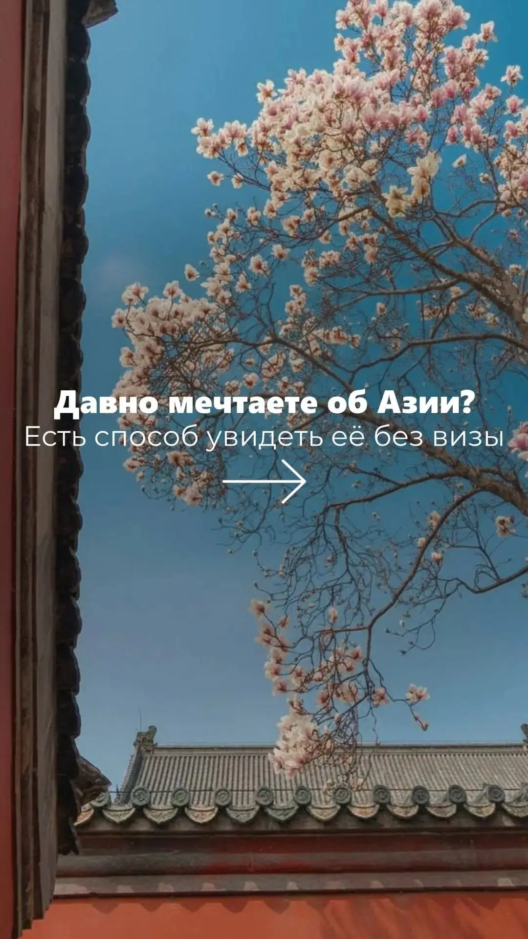 Круиз в Азию!
Проснуться в Шанхае, а завтра гулять по Пусану. 🌆 И всё это в одном путешествии.
📍 К