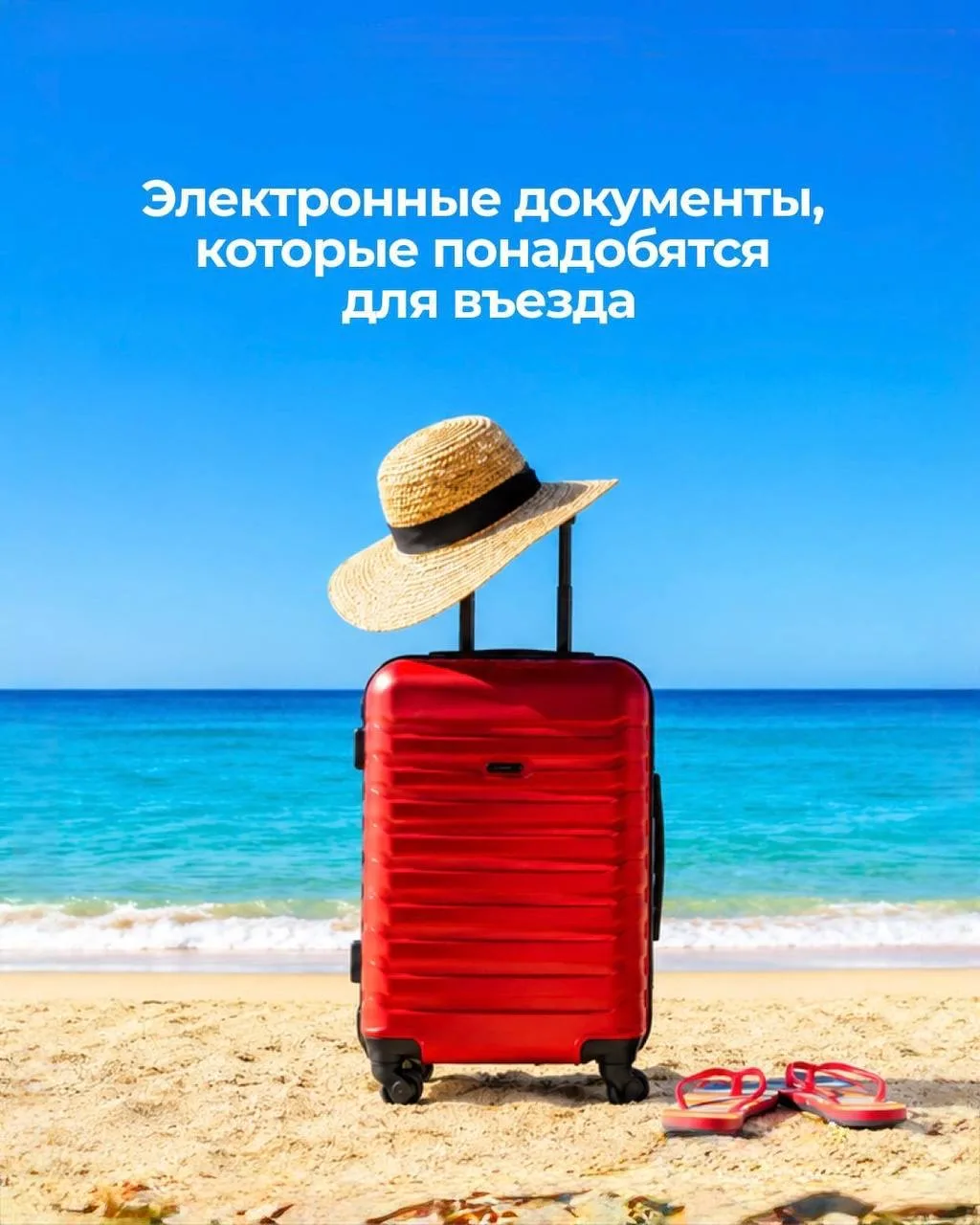 Собрали для вас информацию по дополнительным электронным документам, которые могут потребоваться при