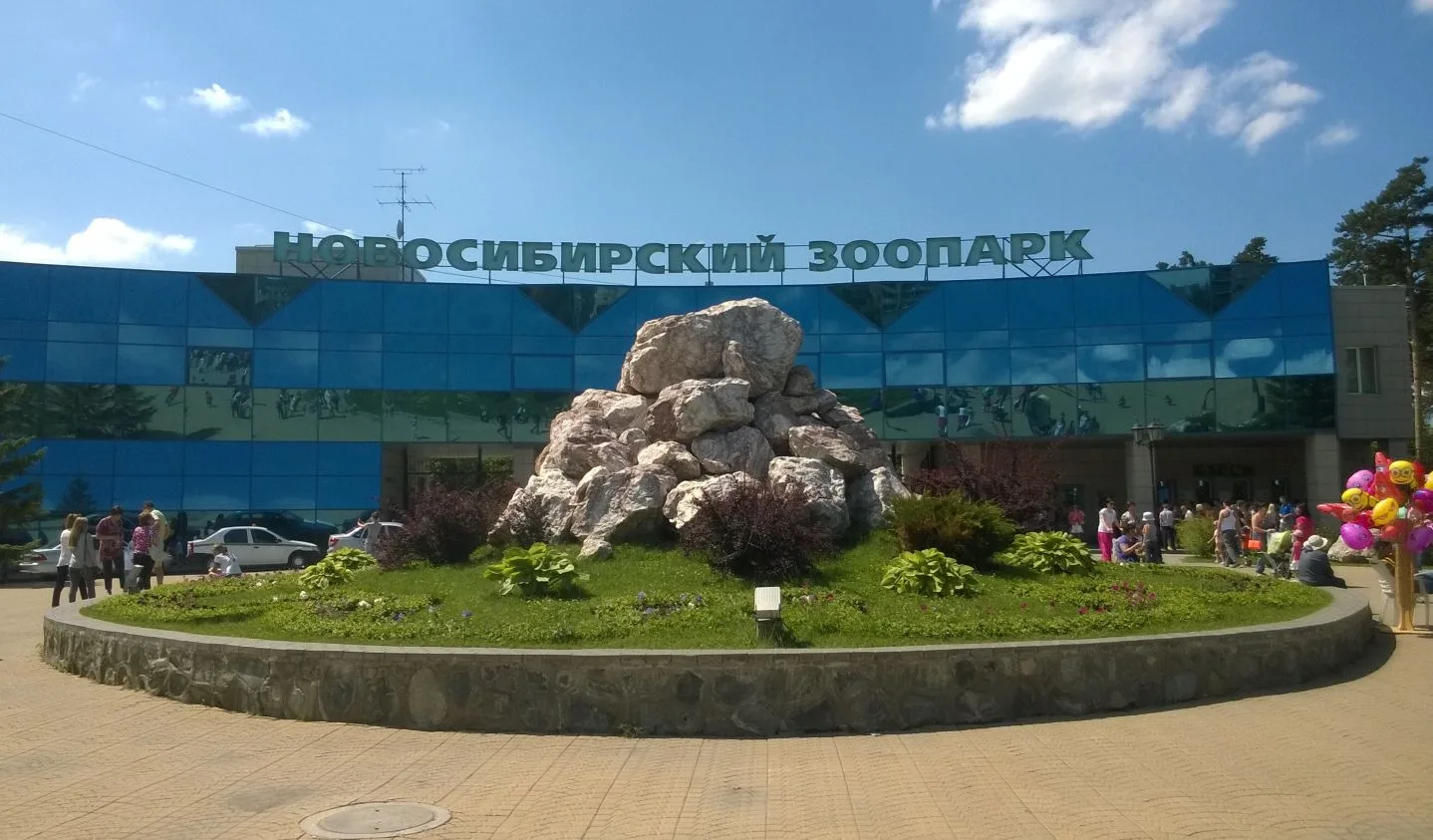 💯1 июня в Новосибирском зоопарке имени Р. А. Шило традиционно проходит праздник, посвященный Междун