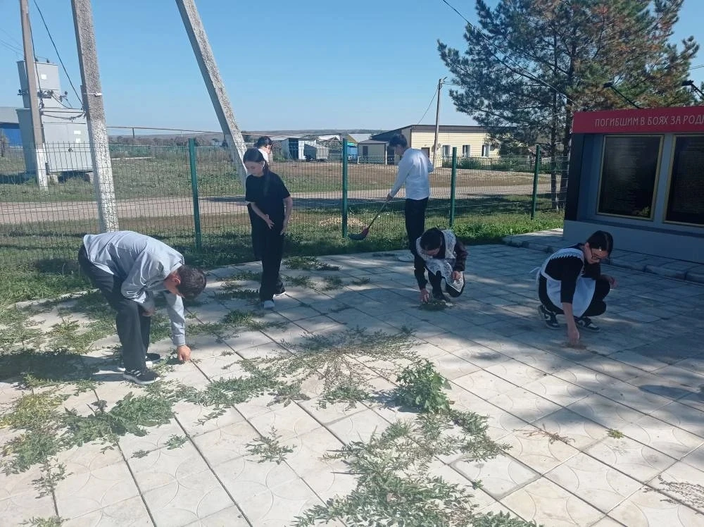 Эковесна — 6 неделя: "Наши Герои живут рядом"

Друзья, мы на финишной прямой! Стартует 6-я неделя на