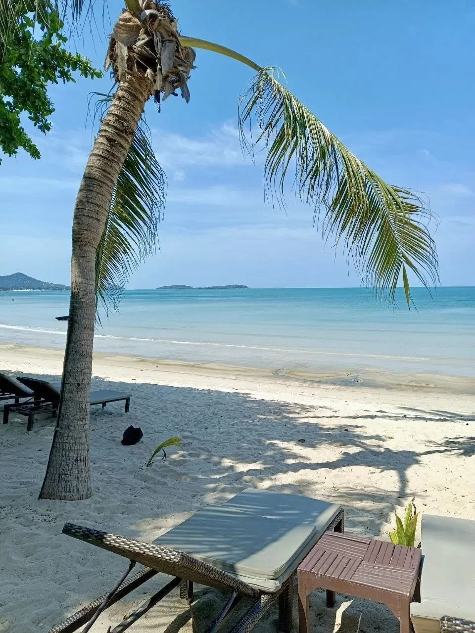 Самуи из Екатеринбурга 🏝️

🇹🇭 Все еще думаете, что в Таиланде летом не сезон? 
А как на счет Саму