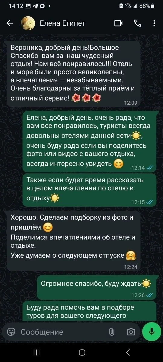 #Египет