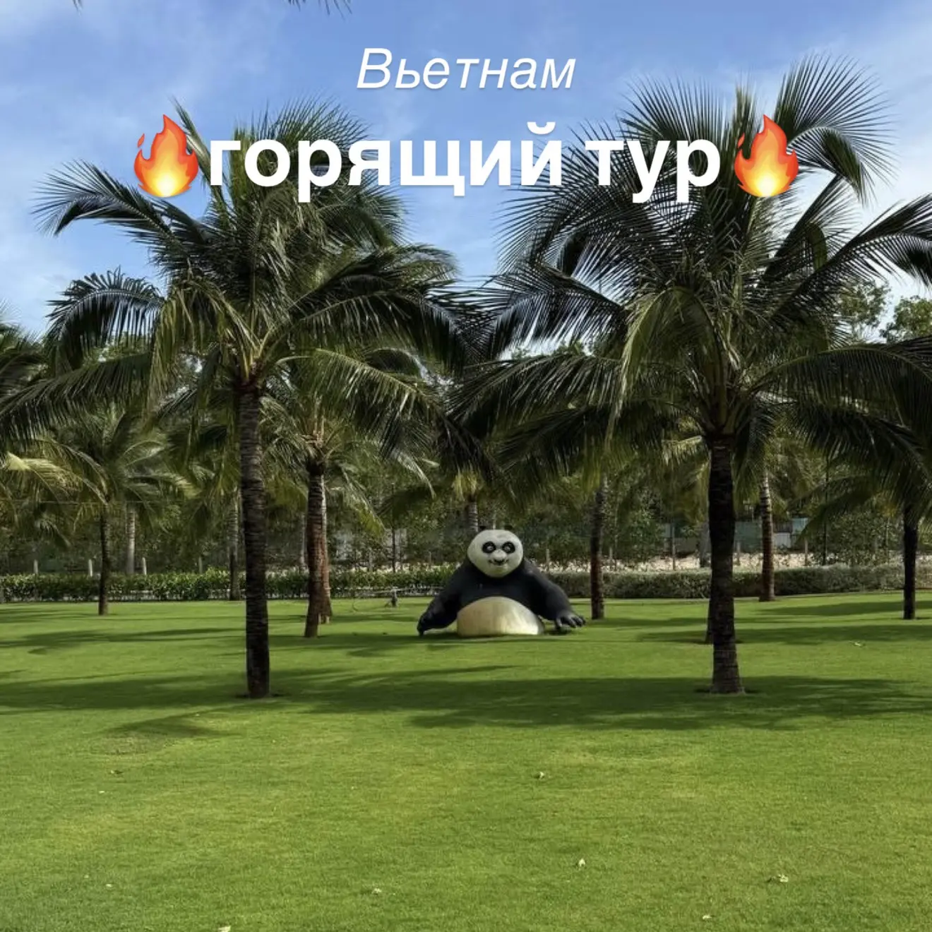 Вьетнам 11 ночей 
🔥горящий тур🔥 

вылет из Екатеринбурга 
7 июня на 11 ночей, завтраки 
💰70тр 🔥
