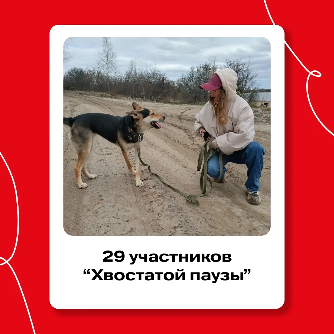 Итоги шефства команды Первых ЯГПУ в приюте «Вита» 🐶

Проект был направлен на организацию полезного 