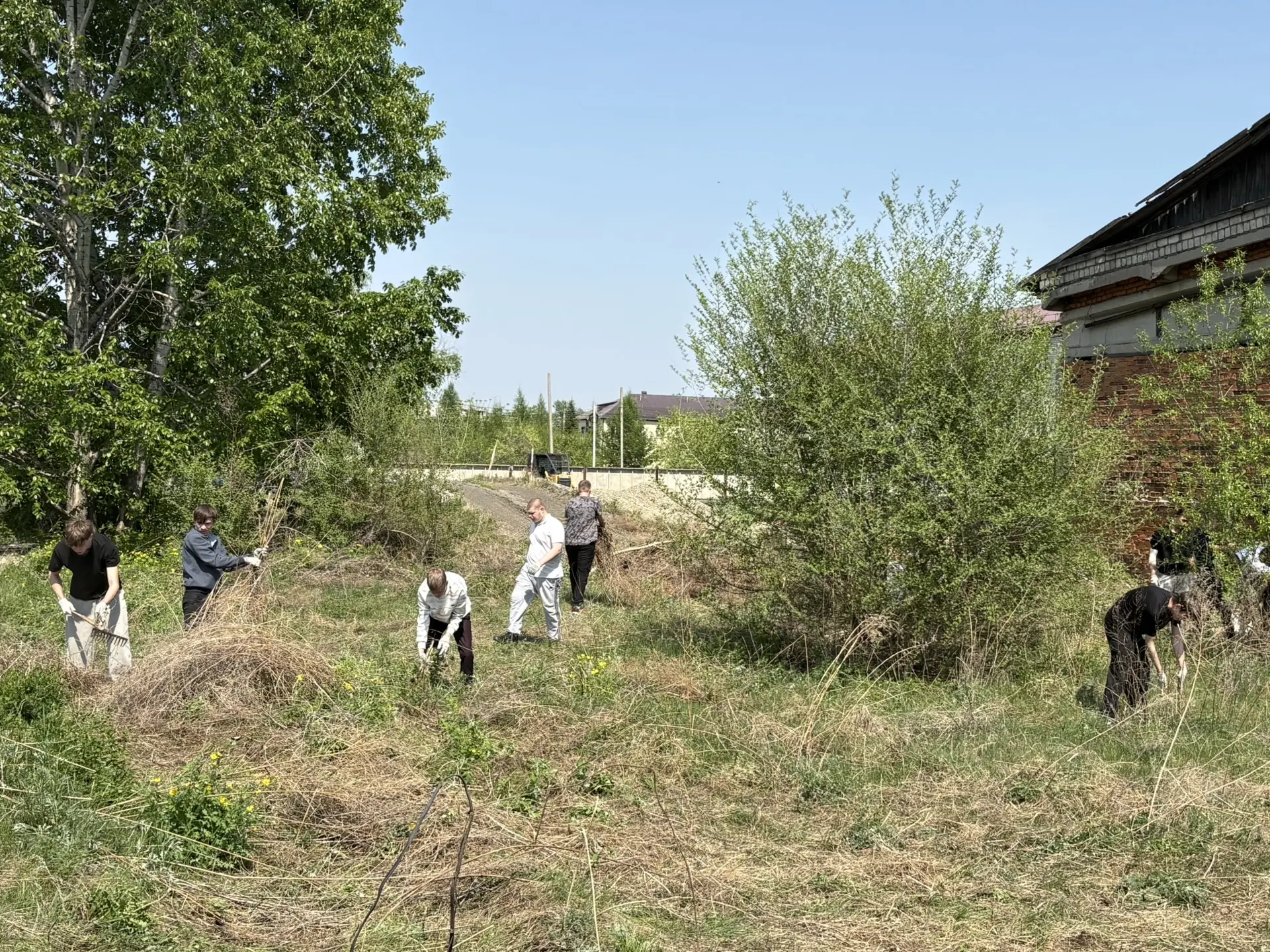 В техникуме продолжаются мероприятия по благоустройству территории🍃

Еженедельно силами студентов п