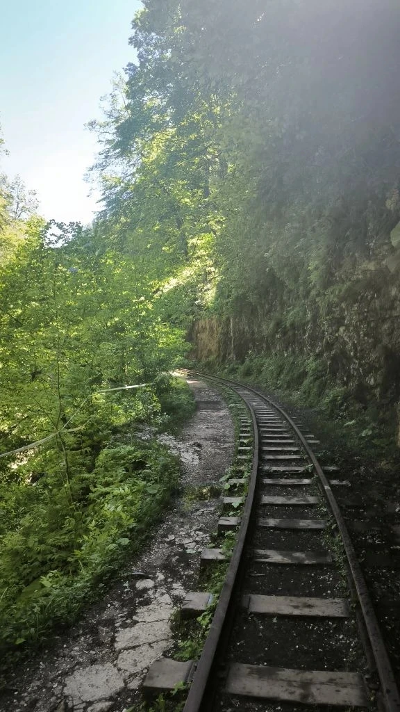 💦 Гуамское ущелье - каждые выходные!
🚂 Мини-поезд - это настоящим туристический аттракцион, по дву