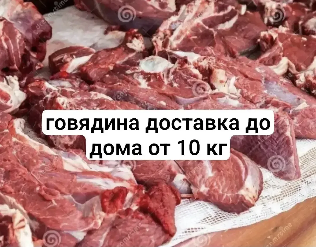 Мясо телятина. Цена 500р. 89028436638 Светлана

Реклама. ИП Черенков Александр Валентинович. ИНН 360