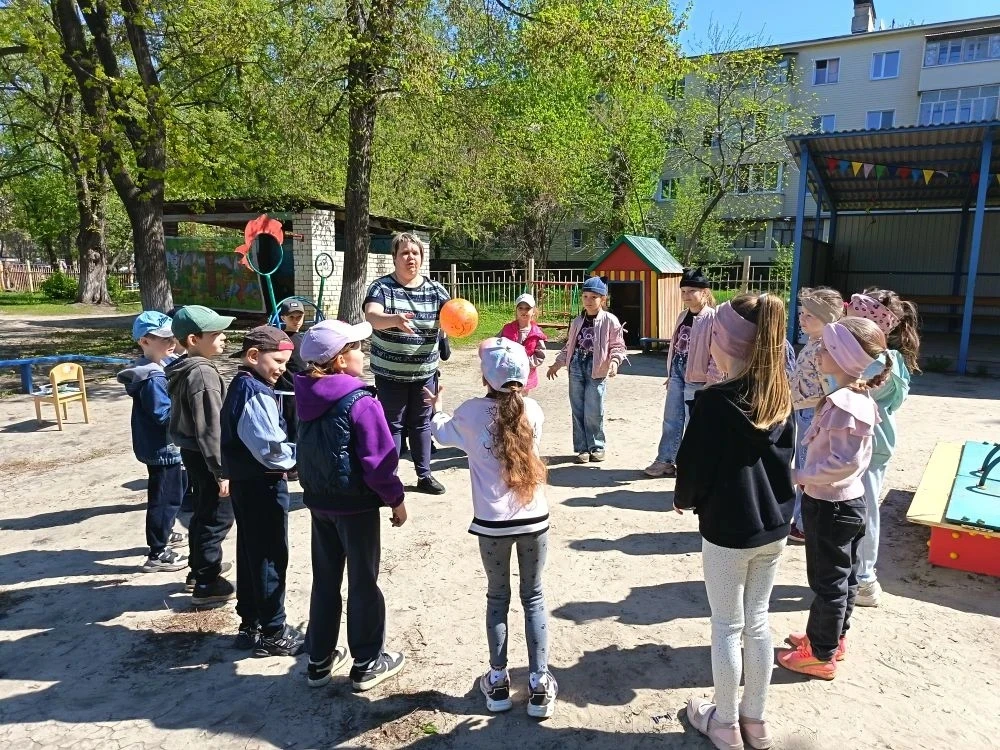 Наши веселые прогулки
