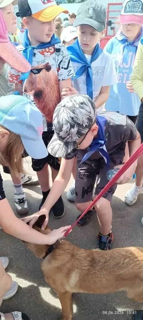 8 июня 📅
🚔🐕 День, который запомнится надолго!

Сегодня ребята побывали на экскурсии в специальном