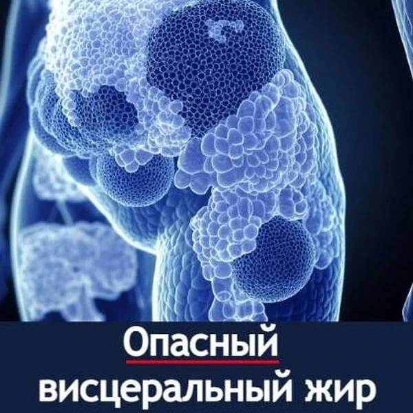 Висцеральный жир душит органы и не даёт худеть.

Спорт и диеты не помогут. 

Но есть 1 рабочий спосо