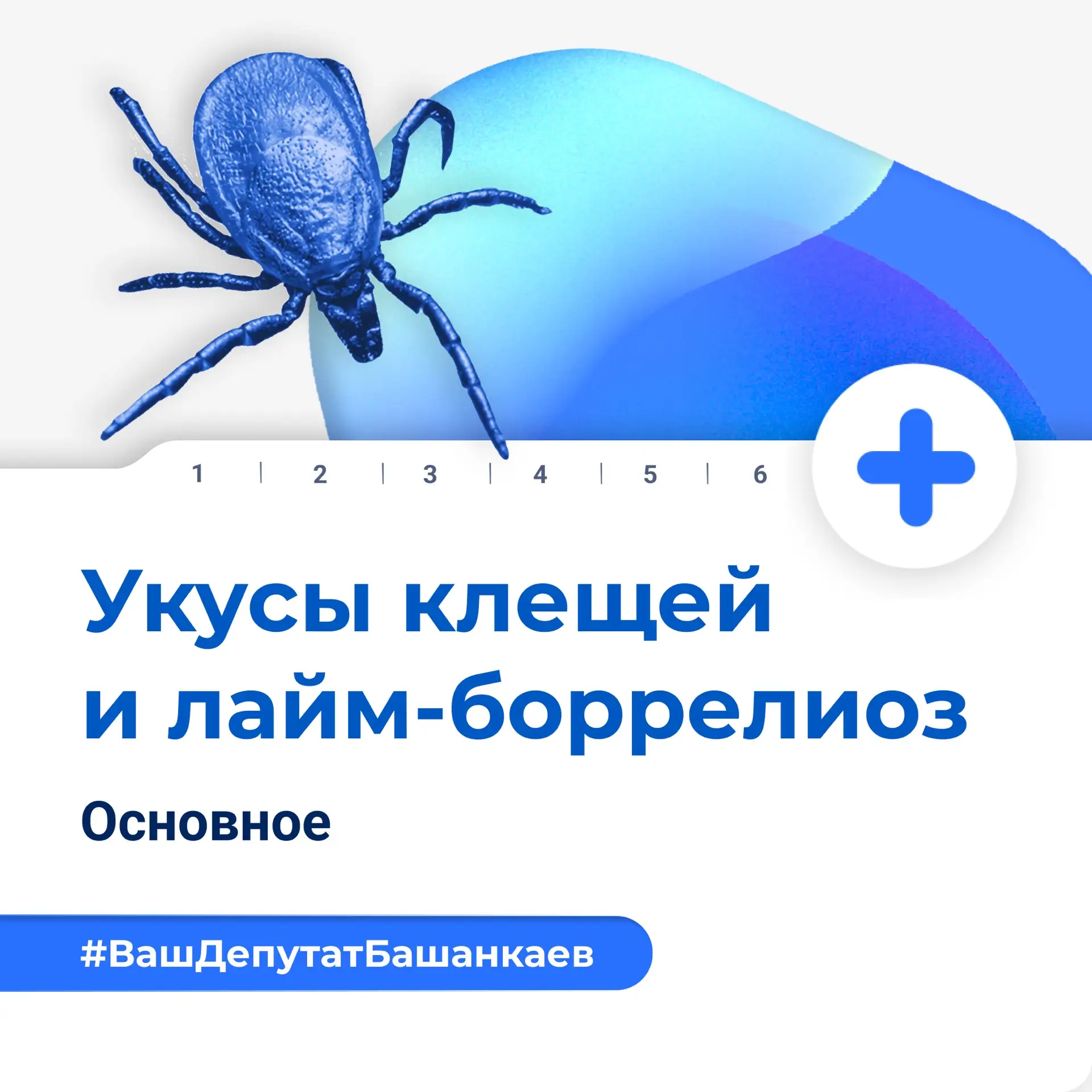 Каждую весну и лето миллионы людей сталкиваются с такой проблемой, как клещи. В России, где эти клещ
