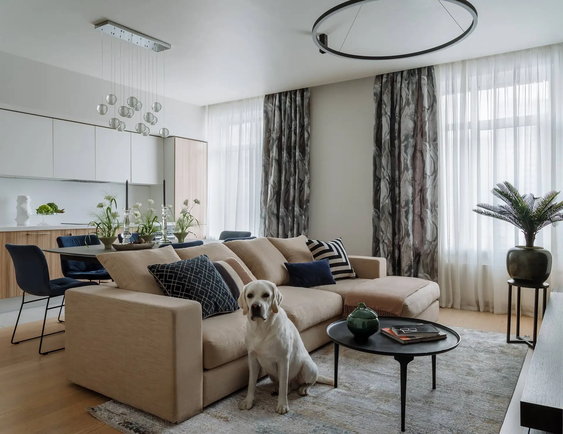 🐕 Москва стала одним из самых pet-friendly городов России для арендаторов — более 40% квартир в сто