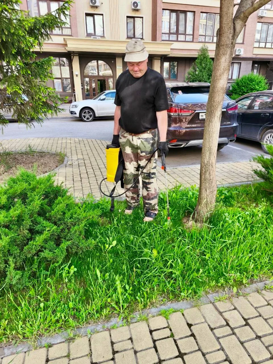 🌿 Обработка🌿

 Все зелёные насаждения на территории комплекса — деревья, кустарники и растения на 