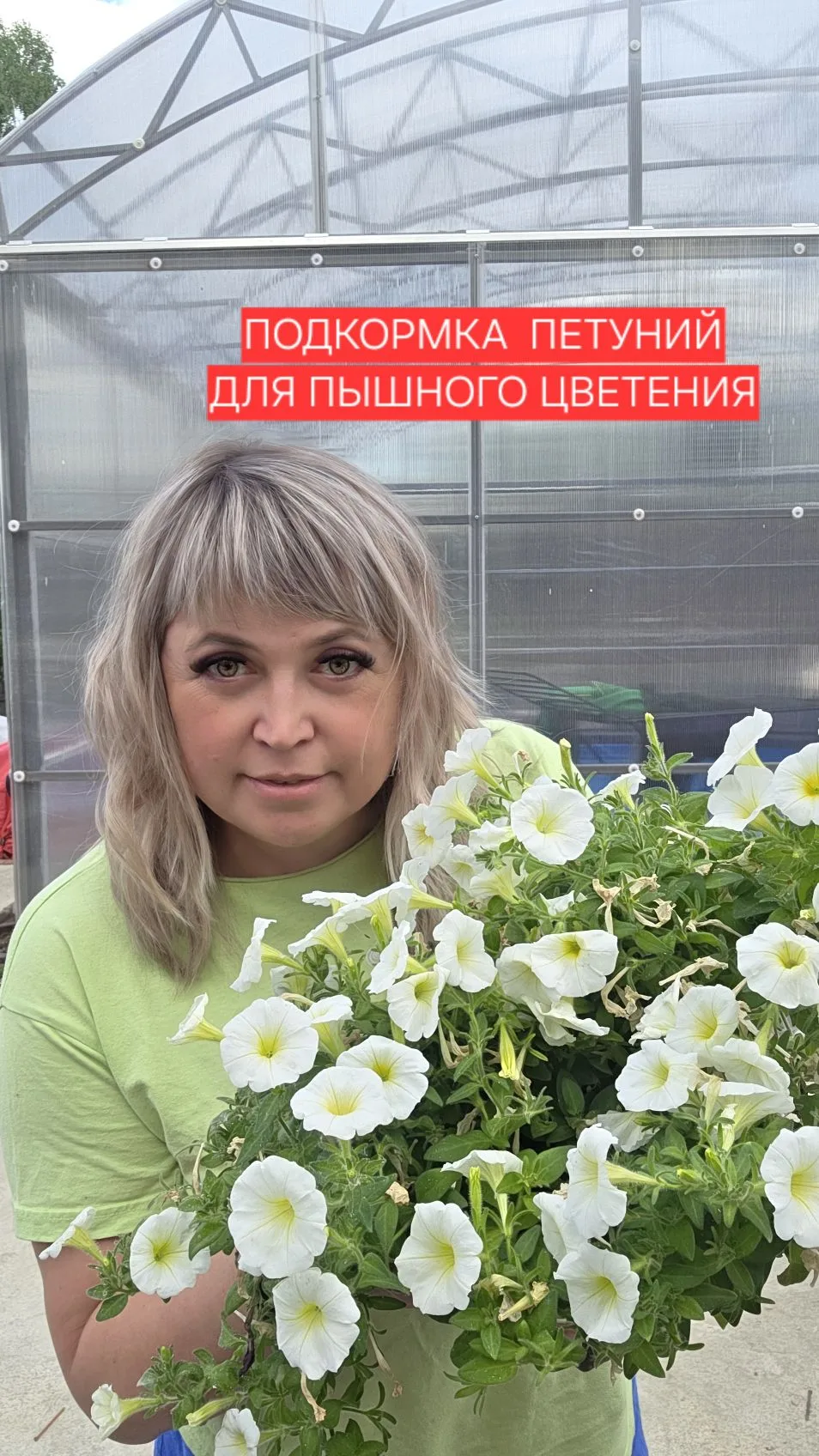 Хорошая подкормка цветов-залог бурного и продолжительного цветения. При пикировке добавила гранулиро