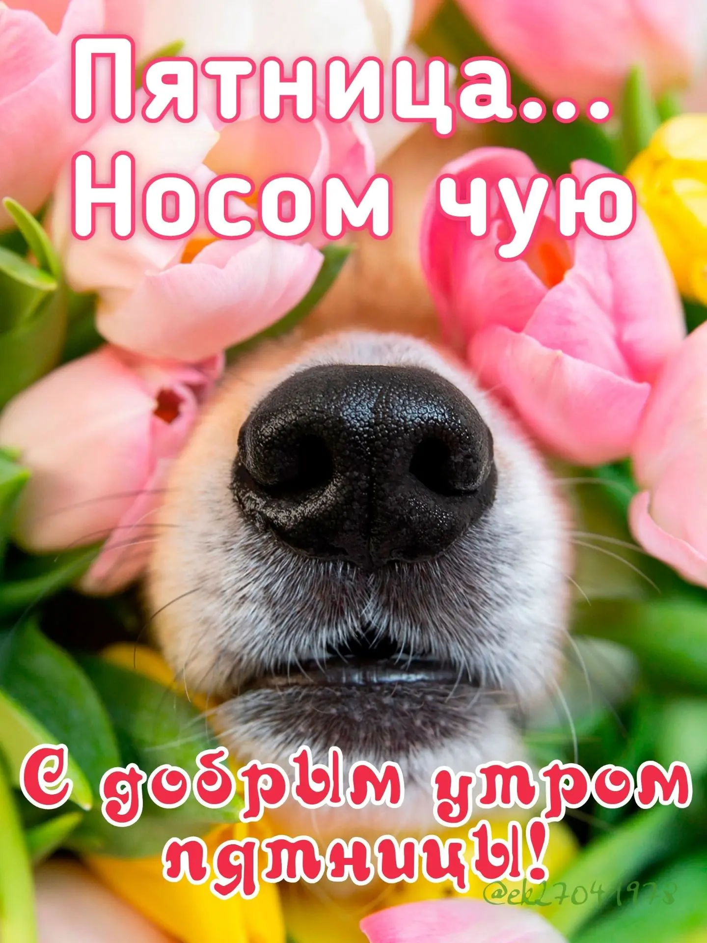 Доброе утро, уважаемые читатели! Ничего так не греет душу, как наступление пятницы! Желаю всем хорош