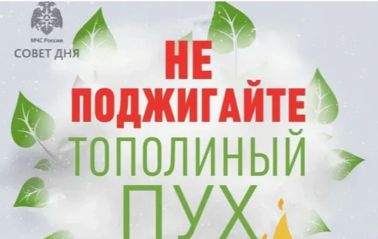 Тополиный пух может стать причиной возникновения пожара, поскольку он легко воспламеняется и горит с