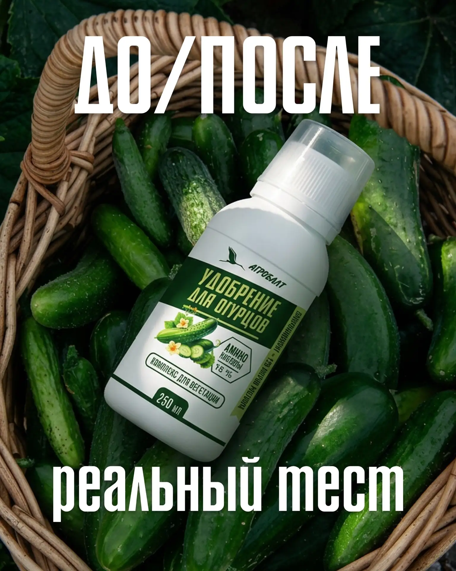 Протестировали наше удобрение для огурцов в режиме реального времени и вот результат

Эффективность 