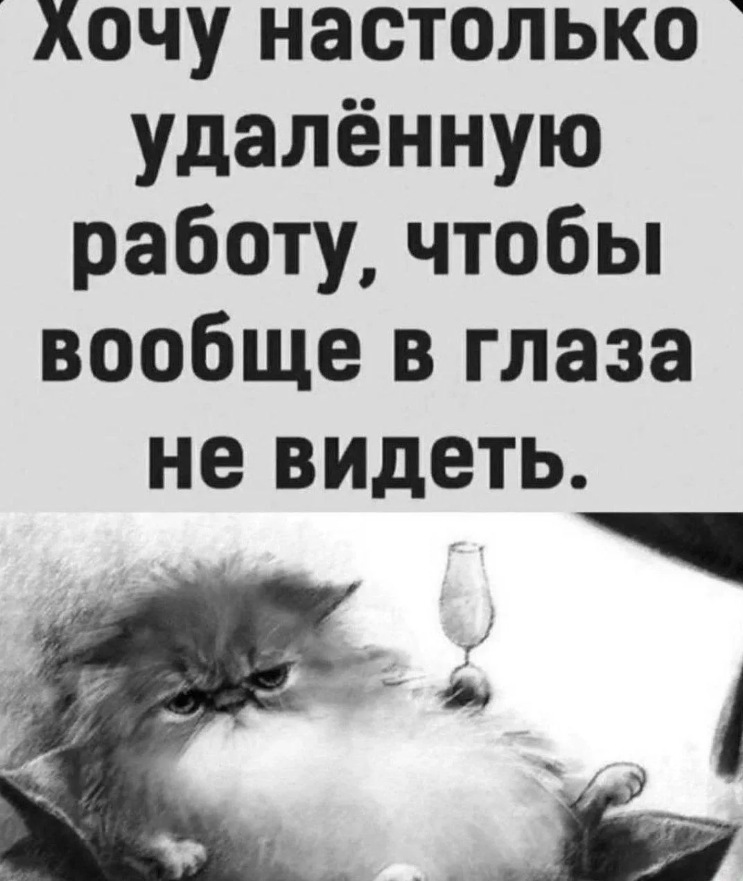 Юморима