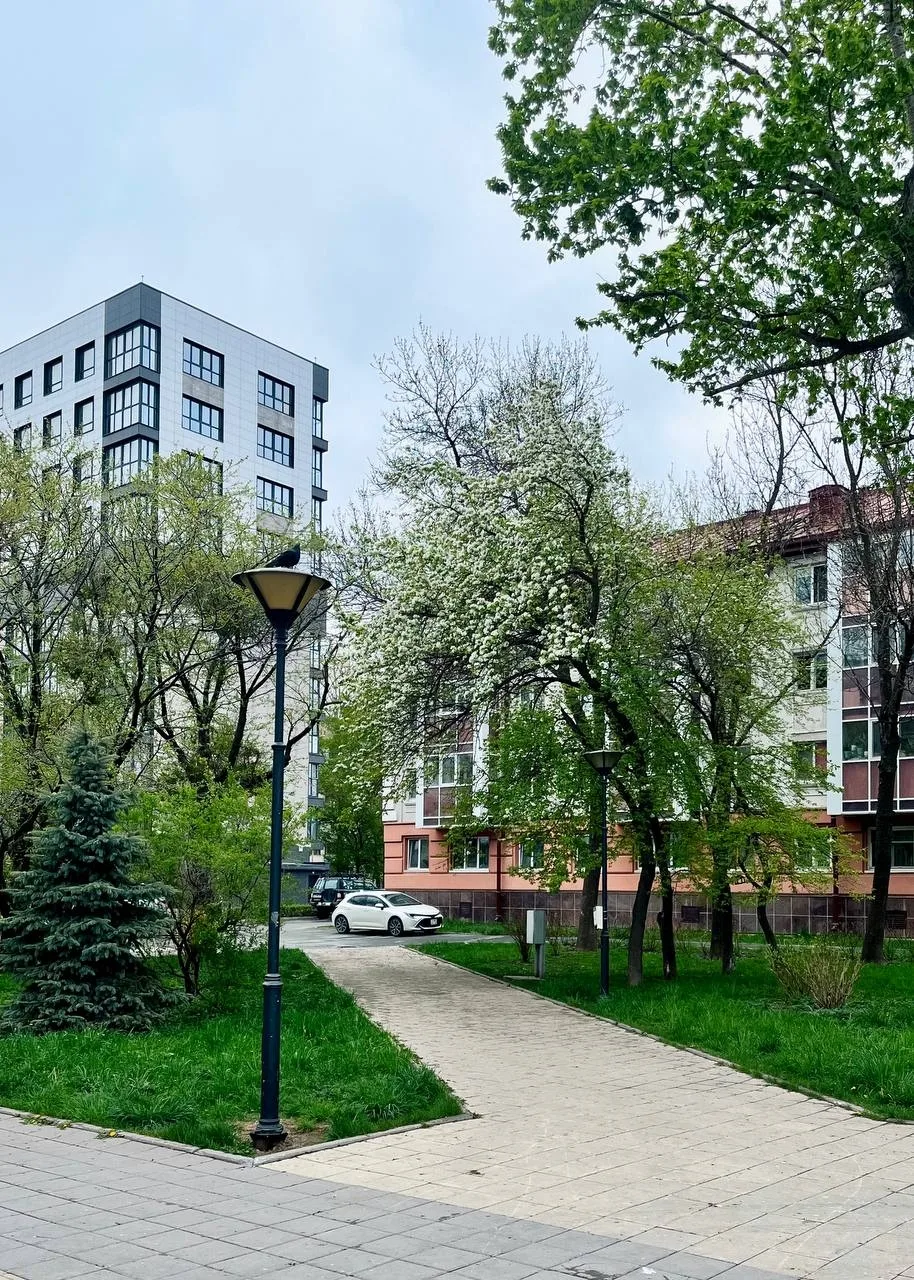 С добрым утром, Южный 💚
Автор: 📸 mukhavokne