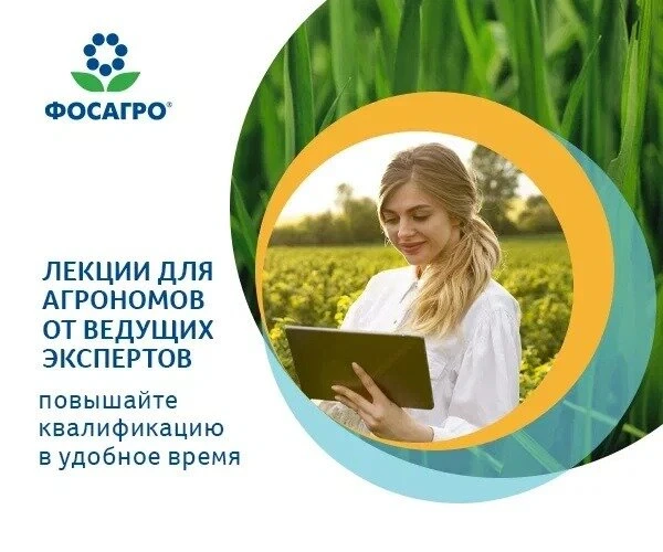 Учитесь у тех, кто понимает агропром изнутри

ProАгро Лекторий — учебный центр, в котором преподают 