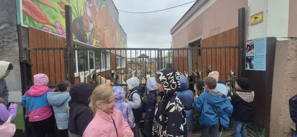 🐻 10 июня первый и второй отряды пришкольного лагеря отправились на экскурсию в Елизовский зоопарк.