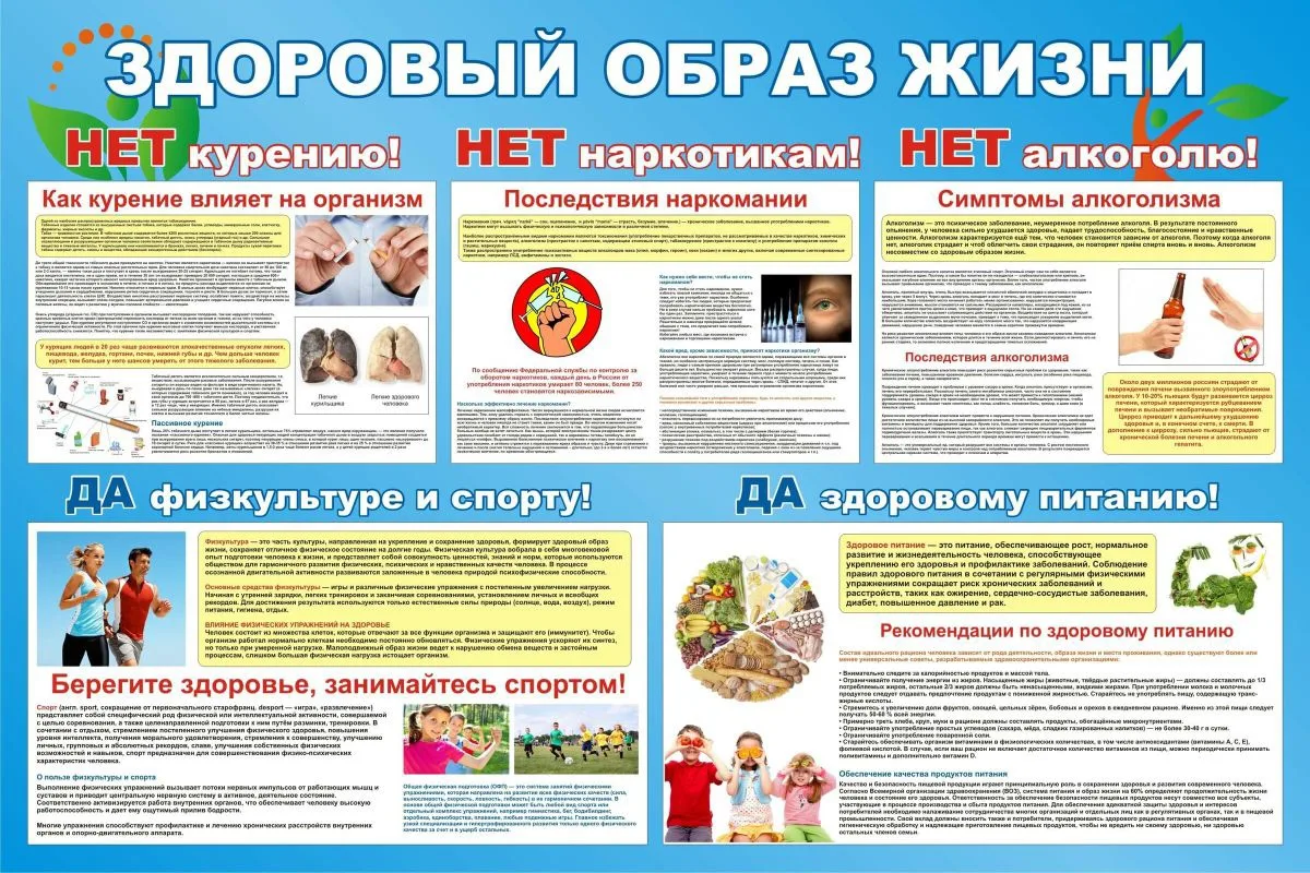 Здоровый образ жизни (ЗОЖ) базируется на четырех ключевых элементах, которые комплексно поддерживают