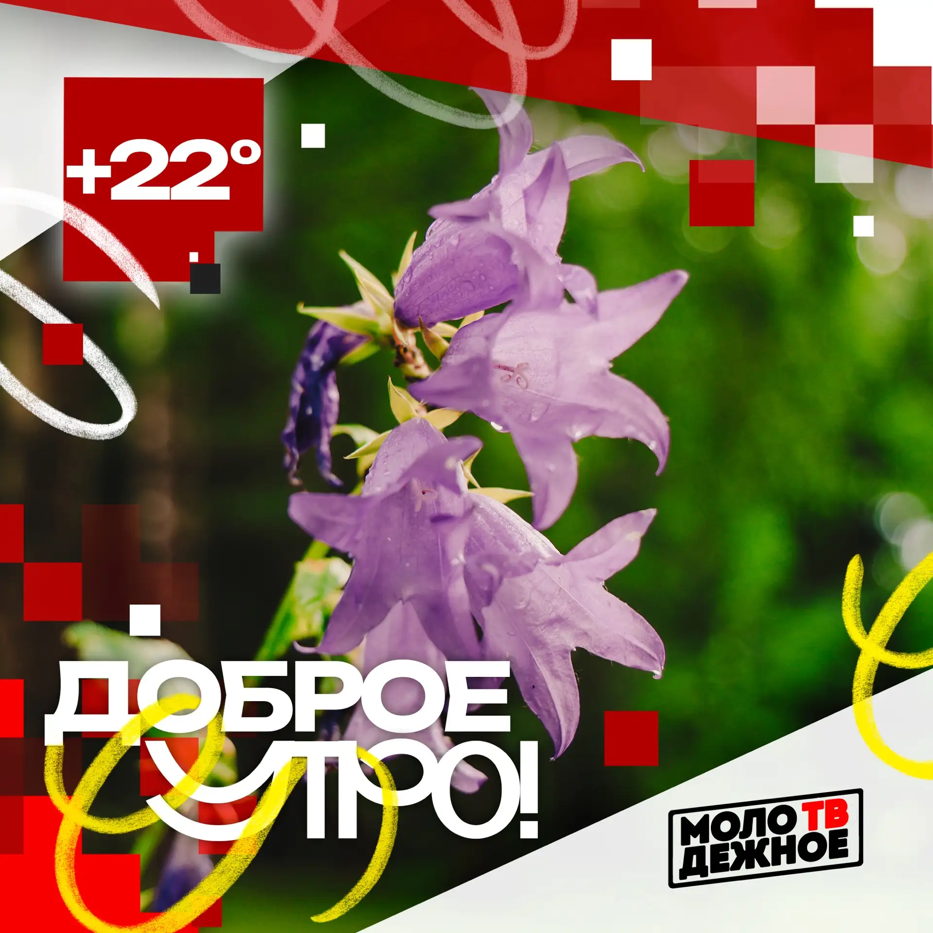 Доброе утро!

📈Пожалуйста не сдавайся. Отдохни и продолжай дальше.

МЫ В ВК

#клин #клинзвучит #мол