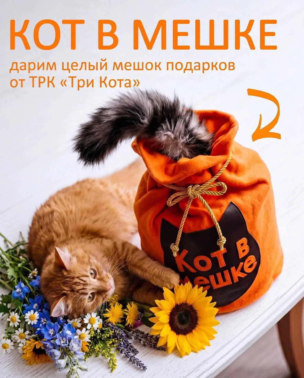 🧡Поздравляем победителей нашего конкурса «Кот в мешке»

Призы уже нашли своих счастливчиков. Спасиб