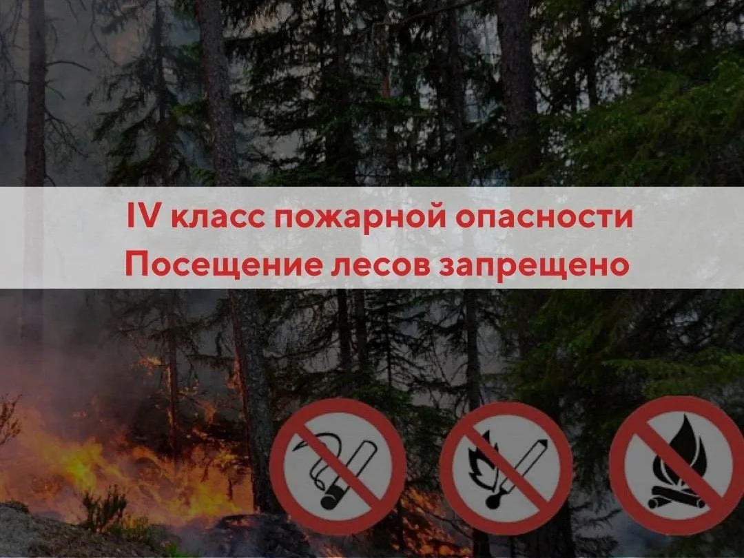 Высокая пожароопасность в Ленском районе: прогноз на 16–17 июня

По данным Гидрометцентра Якутска, 1