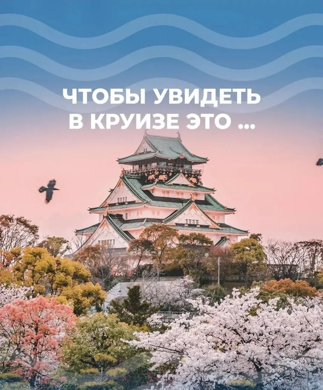 🇯🇵 ЯПОНИЯ - одно из самых желанных направлений среди туристов 

И сейчас есть способ увидеть сразу