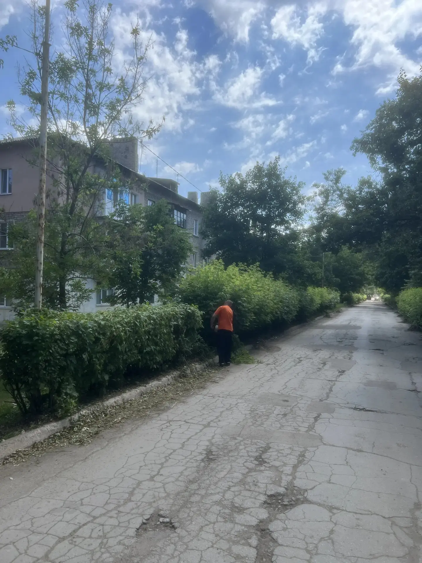 В городе Молодогвардейск по улице Школьная проводятся работы по подстриганию живой изгороди