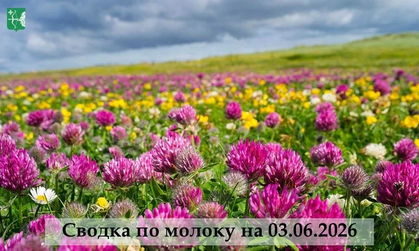 Аграрии Кировской области наращивают производство молока: суточные надои выросли на 2,4%

По состоян