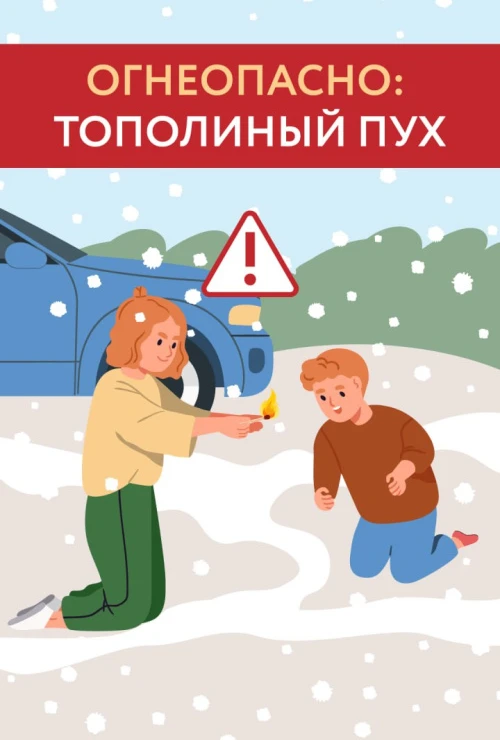 Тополиный пух. 
Тополиный пух представляет собой очень большую опасность.❗️❗️❗️ Он мгновенно загорае