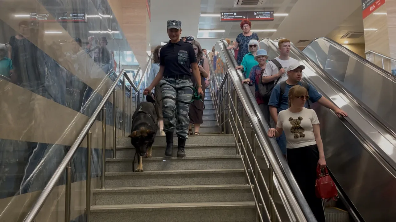 👮‍♀️🐕«У нас даже повадки одинаковые»: как кинолог и её немецкая овчарка стали семьёй в погонах

🐾