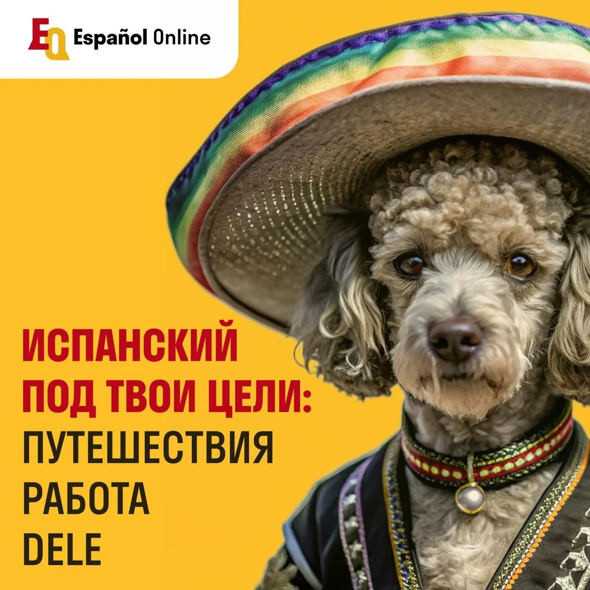 Репетитор по испанскому языку онлайн. Первый урок = 0₽

Поможем осуществить мечты по переезду и путе