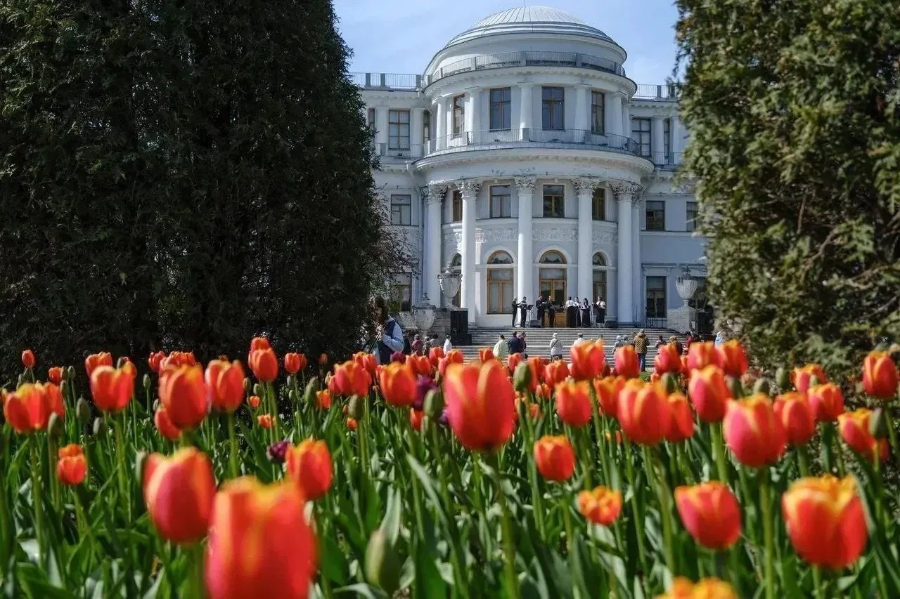 🌷 Фестиваль тюльпанов пройдёт на Елагином острове 16-17 и 23-24 мая 

Территорию парка покроют тыся