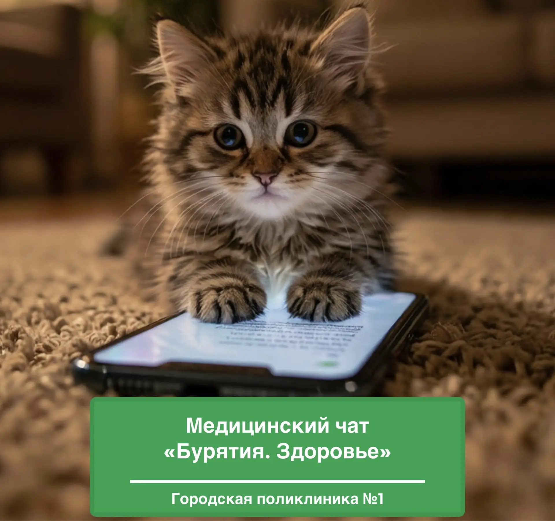 🩺 «Бурятия. Здоровье»: оперативная связь с медиками в рамках проекта «ЗдравКонтроль»

Жителям Респу