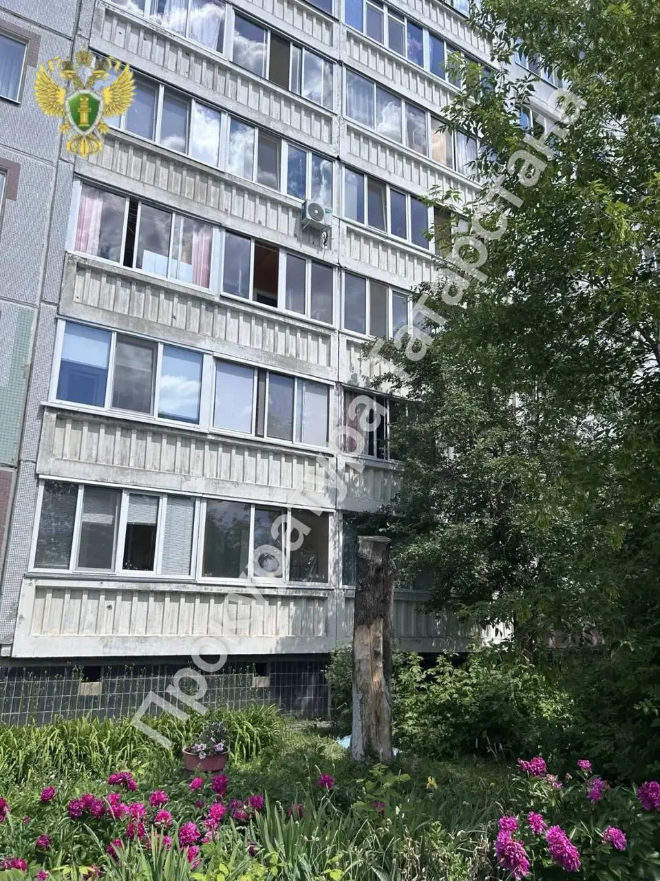 В Набережных Челнах 10-летний ребенок выпал из окна балкона многоэтажного дома

Сообщение о случивше