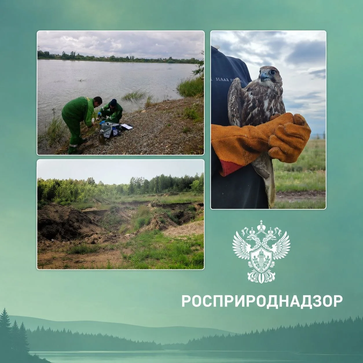 🌿 Мечтаешь влиять на экологию страны?

Росприроднадзор (Дальневосточное межрегиональное управление)