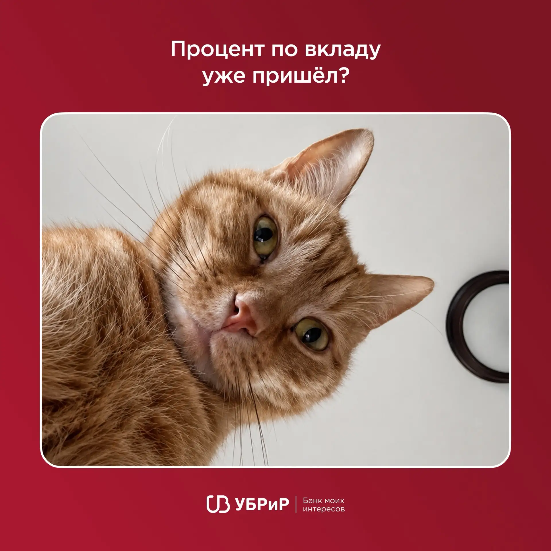 Знаешь это чувство, как его там.. когда деньги лежат под 15% годовых

 ✨ спокойствие ✨

Всё просто: 