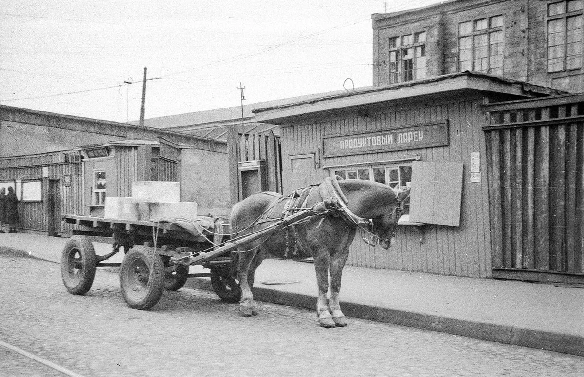🐴 Ларёк, телега и Петроградка без глянца. Пионерская и Новоладожская, 1955 год

На углу современных