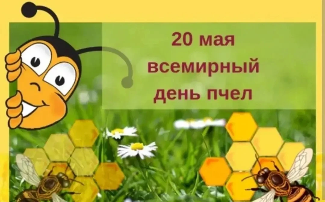 🐝 20 мая ребята 1️⃣2️⃣ группы праздновали — Всемирный день пчёл!

🐝 Дети с большим энтузиазмом дел