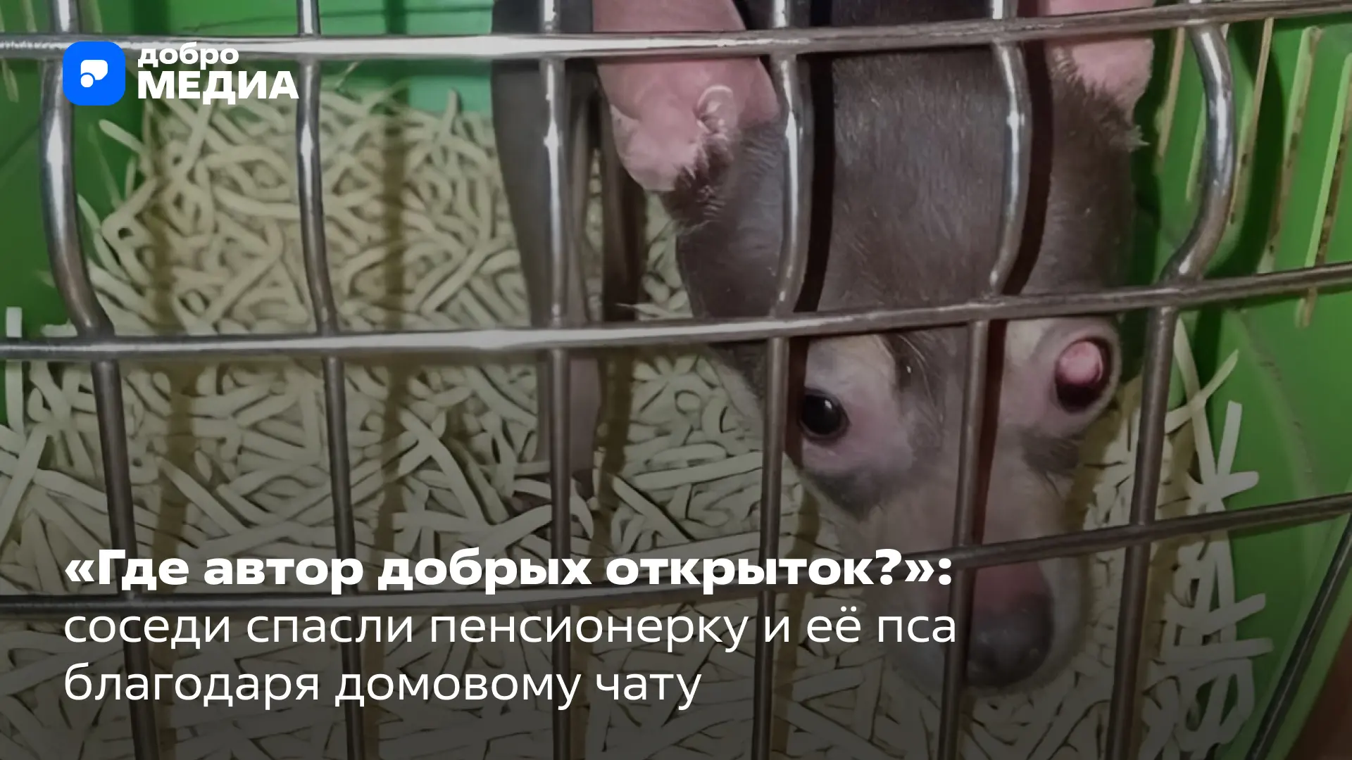 🫂 У жильцов многоквартирного дома на юго-западе Москвы каждый день начинался с доброго пожелания в 
